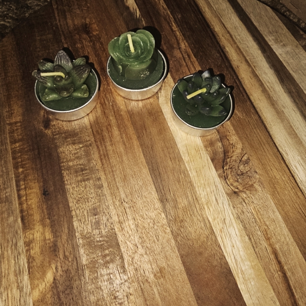 Set of Three Green Succulent Tealight Candles